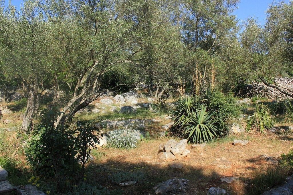 Secluded Fisherman'S Cottage Cove Magrovica - Telascica, Dugi Otok - 8142 Сали Екстериор снимка